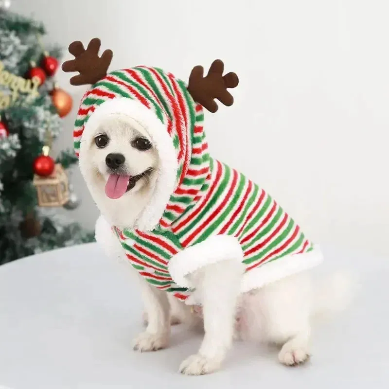 Christmas Inspired Pet Costumes