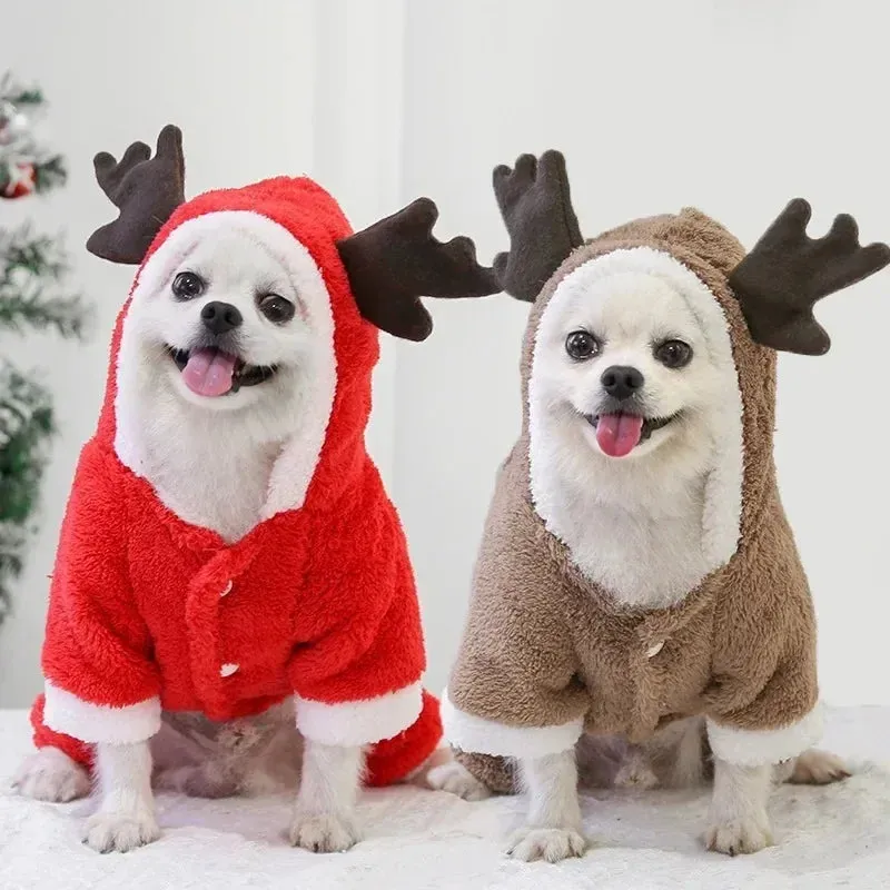 Christmas Inspired Pet Costumes